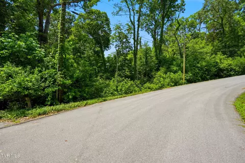 tbd Blackheath Road Kingsport Tn 37660, Kingsport, TN 37660