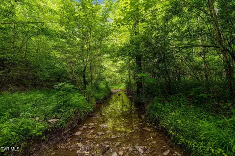 tbd Rocky Hollow Road Rogersville Tn 37857, Rogersville, TN 37857