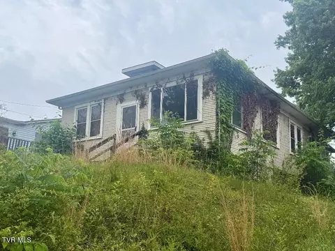 322 Parks Worley Bluff City Tn 37618, Bluff City, TN 37618