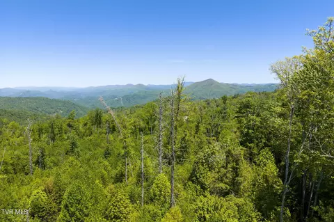 tbd Walnut Mountain Road Tbd Roan Mountain Tn 37687, Roan Mountain, TN 37687