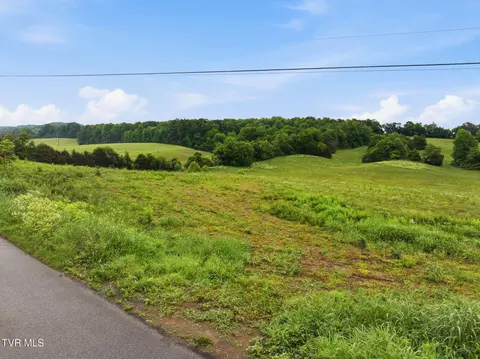 0 Paynetown Road Telford Tn 37690, Telford, TN 37690