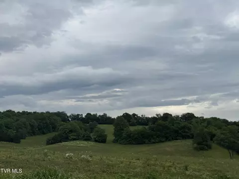 0 Paynetown Road Telford Tn 37690, Telford, TN 37690