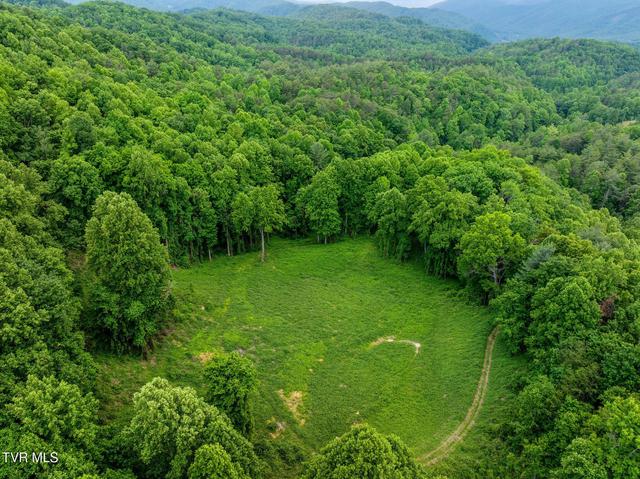 tbd Black Mountain Road Hartford Tn 37753, Hartford, TN 37753