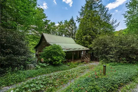 170 Ripshin Lake Road Roan Mountain Tn 37687, Roan Mountain, TN 37687