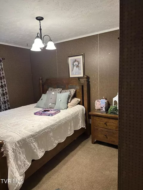 Bedroom - 132 Elliott Avenue Erwin Tn 37650, Erwin, TN 37650 photo 2 of 4