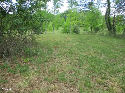 Exterior - 270 Forrest Road Fall Branch Tn 37656, Fall Branch, TN 37656 photo 15 of 20