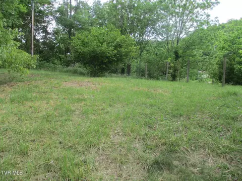 Exterior - 270 Forrest Road Fall Branch Tn 37656, Fall Branch, TN 37656 photo 16 of 20