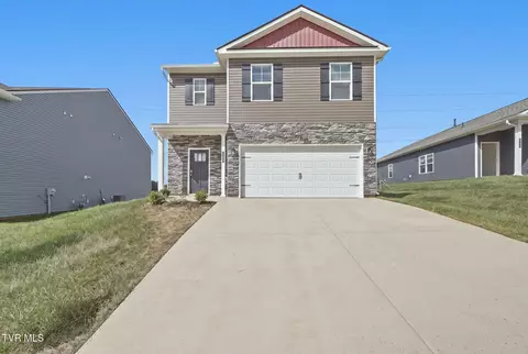 312 Chimney View Loop Blountville Tn 37617, Blountville, TN 37617