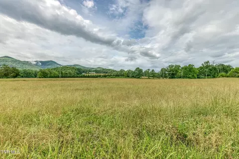 Other - 2390 Highway 107 Chuckey Tn 37641, Chuckey, TN 37641 photo 27 of 30