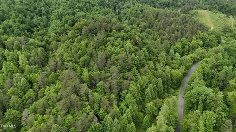 tbd Early Branch Road Rogersville Tn 37857, Rogersville, TN 37857