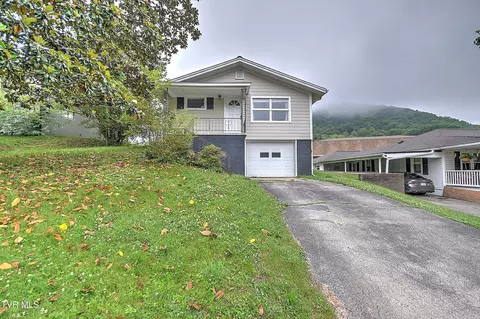 166 Reading Road Weber City Va 24290, Weber City, VA 24290