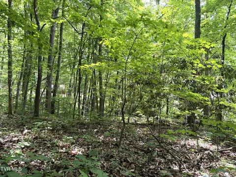 0 Swan Saddle 10 Sevierville Tn 37876, Sevierville, TN 37876
