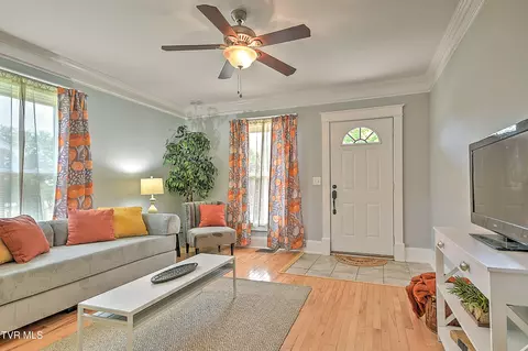 Other - 909 E Holston Avenue Johnson City Tn 37601, Johnson City, TN 37601 photo 2 of 18
