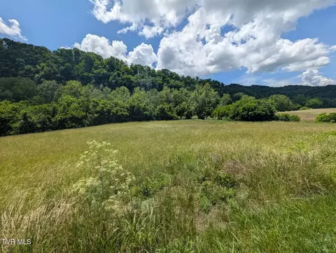 tbd Clinch River Highway Gate City Va 24251, Gate City, VA 24251