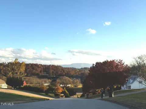 View/Area - 234 E Ridges Drive Chuckey Tn 37641, Chuckey, TN 37641 photo 2 of 19