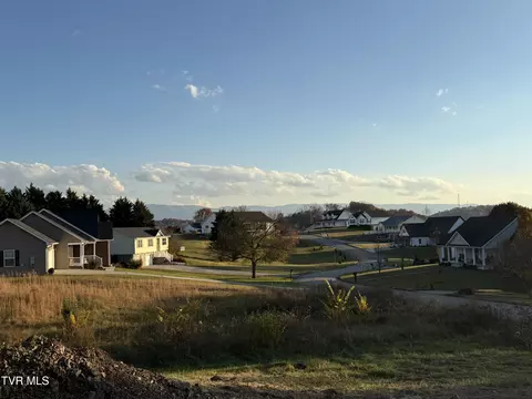 View/Area - 234 E Ridges Drive Chuckey Tn 37641, Chuckey, TN 37641 photo 3 of 19