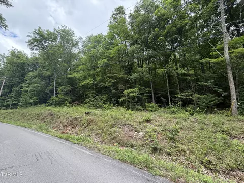 tbd Alpine Drive Sevierville Tn 37876, Sevierville, TN 37876