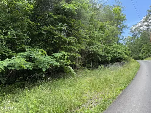 tbd Obes Branch Road Sevierville Tn 37876, Sevierville, TN 37876
