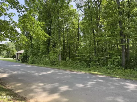lot5 Parrish Drive Greeneville Tn 37743, Greeneville, TN 37743