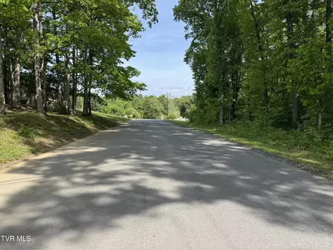 6 Parrish Drive, Greeneville, TN 37743 photo 4