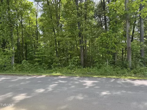 6 Parrish Drive, Greeneville, TN 37743 photo 2
