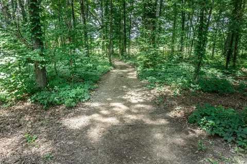 Other - 835 Pike Road Greeneville Tn 37745, Greeneville, TN 37745 photo 16 of 19