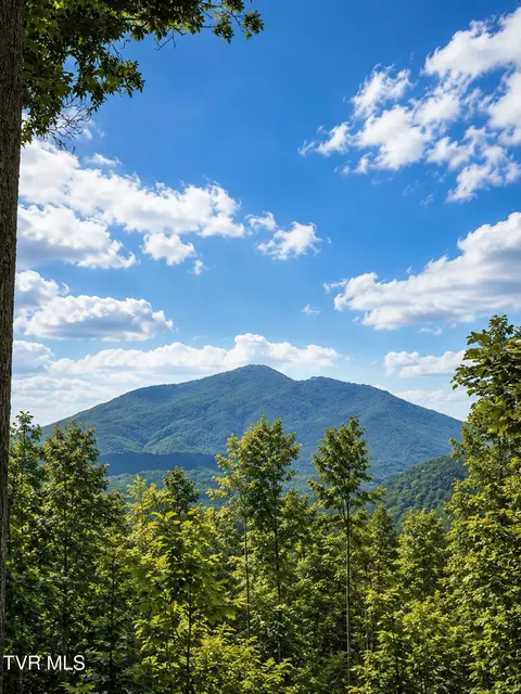 tbd Heaton Branch Road Butler Tn 37640, Butler, TN 37640