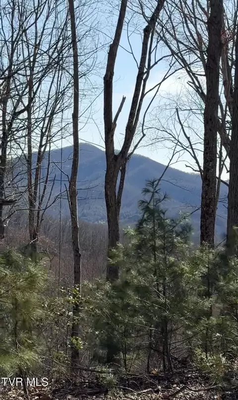 tbd Heaton Branch Road Butler Tn 37640, Butler, TN 37640