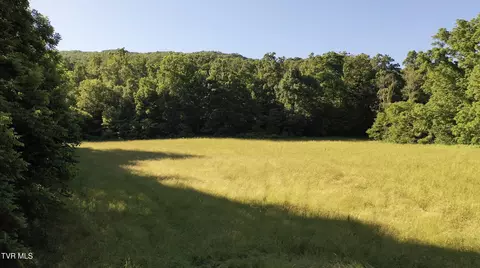 21 Ac Tbd Houston Valley Tract 3b Road Greeneville Tn 37743, Greeneville, TN 37743