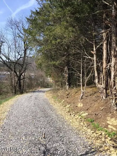 8 24 Ac West Andrew Johnson Bulls Gap Tn 37711, Bulls Gap, TN 37711