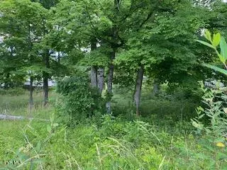 0047 Wild Rose Lane Johnson City Tn 37601, Johnson City, TN 37601
