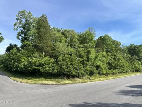 lot S 9 10 White Street Kingsport Tn 37664, Kingsport, TN 37664