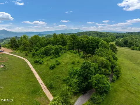 tbd Walnut Mountain Road Roan Mountain Tn 37687, Roan Mountain, TN 37687