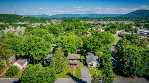 View/Area - 206 E 9th Avenue Johnson City Tn 37601, Johnson City, TN 37601 photo 2 of 5