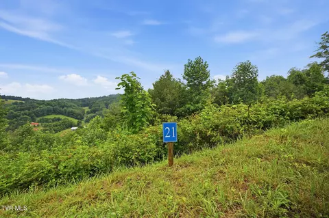 lot21 Eagle Ridge Parkway Butler Tn 37640, Butler, TN 37640