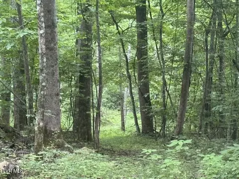tbd Sugar Loaf Mountain Road Marshall Nc 28753, Marshall, NC 28753