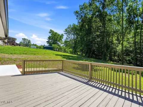 1514 Pleasant View Drive Talbott Tn 37877, Talbott, TN 37877 photo 29