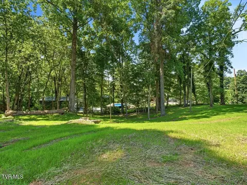 1514 Pleasant View Drive Talbott Tn 37877, Talbott, TN 37877 photo 31