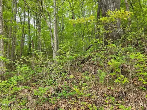 tbd Garrison Hollow Elizabethton Tn 37643, Elizabethton, TN 37643