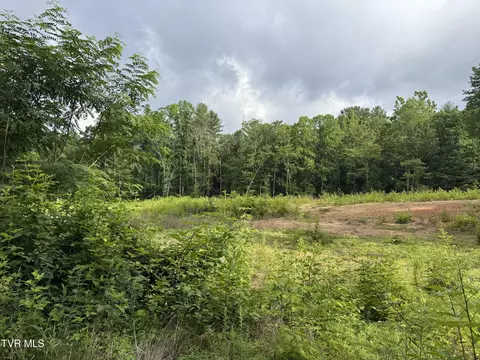 tbd Rhea Lane Mountain City Tn 37683, Mountain City, TN 37683