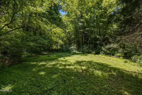 Exterior - 35000 Barrtree Lane Glade Spring Va 24340, Glade Spring, VA 24340 photo 19 of 19