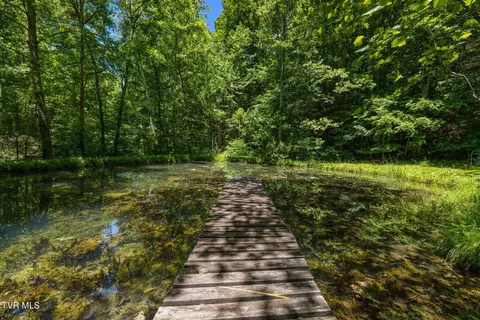 Other - 35000 Barrtree Lane Glade Spring Va 24340, Glade Spring, VA 24340 photo 30 of 30