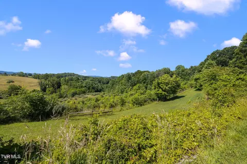 Other - 35000 Barrtree Lane Glade Spring Va 24340, Glade Spring, VA 24340 photo 29 of 30
