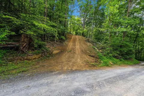 tbd Longs Bend Road Rogersville Tn 37857, Rogersville, TN 37857