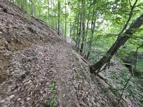 2264 Devault Bridge Road Piney Flats Tn 37686, Piney Flats, TN 37686 photo 26