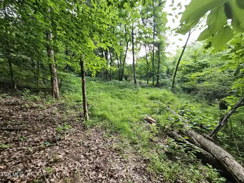 2264 Devault Bridge Road Piney Flats Tn 37686, Piney Flats, TN 37686 photo 24