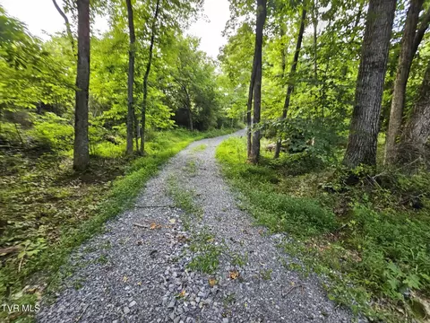 2264 Devault Bridge Road Piney Flats Tn 37686, Piney Flats, TN 37686 photo 2