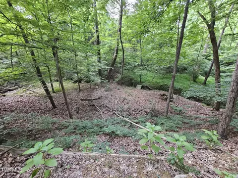 2264 Devault Bridge Road Piney Flats Tn 37686, Piney Flats, TN 37686 photo 20