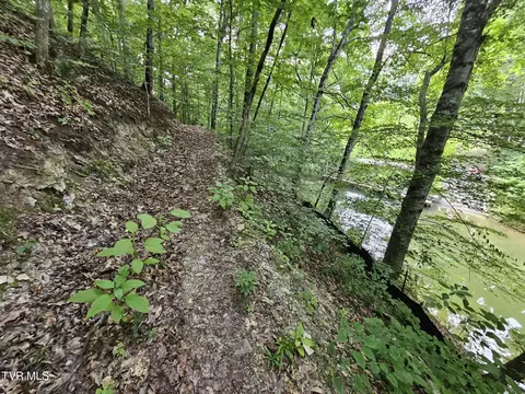 2264 Devault Bridge Road Piney Flats Tn 37686, Piney Flats, TN 37686 photo 19