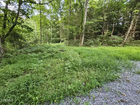 2264 Devault Bridge Road Piney Flats Tn 37686, Piney Flats, TN 37686 photo 7